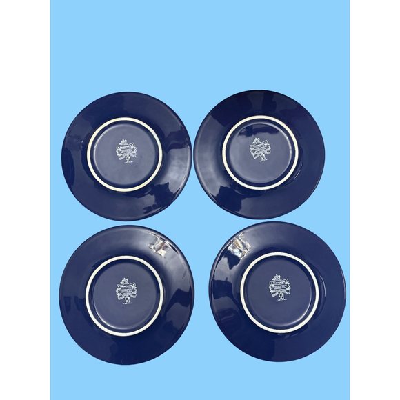 Pagnossin Treviso Ironstone Blue & Orange Pasta Bowls & Salad Plates - Picture 3 of 11